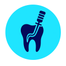 Endodontics